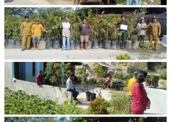 Kades Aek Sopang Mucthar Naibaho, Bagikan Bantuan Bibit Durian Kepada Masyarakat.