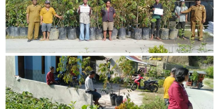 Kades Aek Sopang Mucthar Naibaho, Bagikan Bantuan Bibit Durian Kepada Masyarakat.