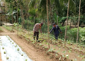 Bhabinkamtibmas Cek Lahan Binaan, ini kata Kapolsek IPTU Ario