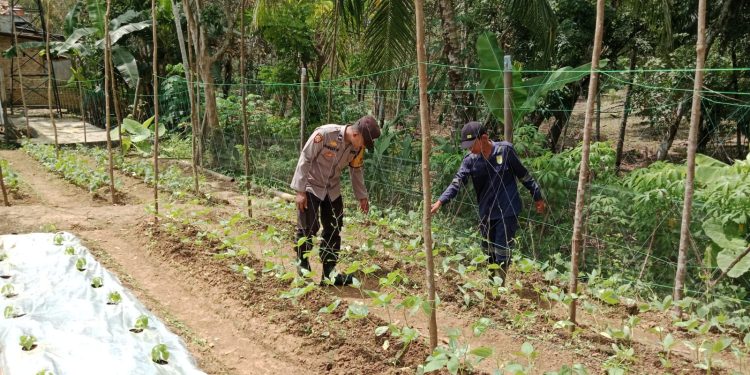 Bhabinkamtibmas Cek Lahan Binaan, ini kata Kapolsek IPTU Ario
