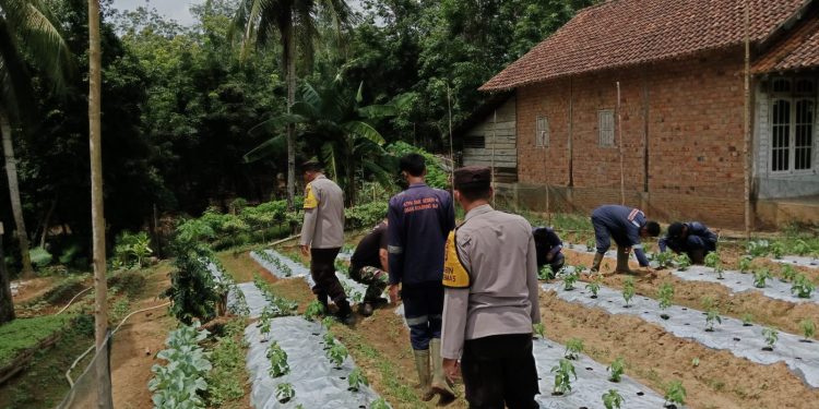 Kapospol Polsek Madang II Cek Lahan Binaan di Desa