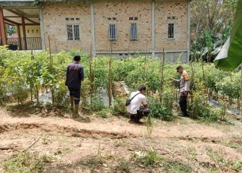 Kapolsek IPTU Ario Instruksikan Bhabinkamtibmas Pantau Lahan Binaan Ketahanan Pangan