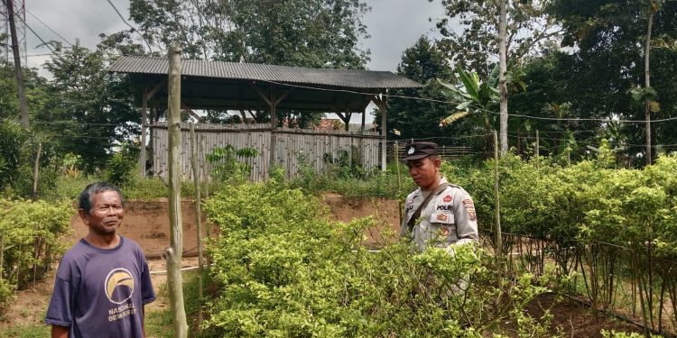 Cek Lahan Binaan Ketahanan Pangan, ini kata Kapolsek IPTU Ario