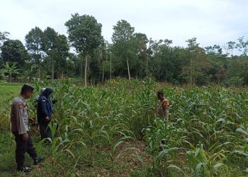 Kanit Binmas Polsek Madang II Cek Lahan Binaan