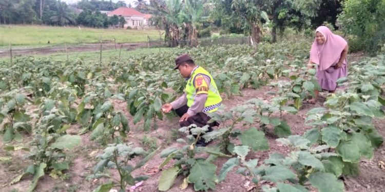 Dukung Asta Cita, Polsek Madang Suku II Cek Lahan Binaan