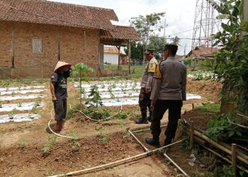 Kapospol Polsek Madang II Cek Lahan Binaan