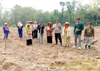 Bhabinkamtibmas Polsek Belitang III Laksanakan Pendampingan penanaman Jagung 1 desa 1 hektar