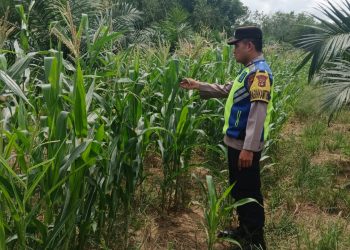 Kapolsek Belitang III Himbau Warga Manfaatkan Lahan Secara Produktif, Dukung Ketahanan Pangan Nasional