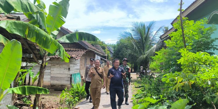 Bhabinkamtibmas Polsek Belitang III Laksanakan Pendampingan penanaman Jagung 1 desa 1 hektar