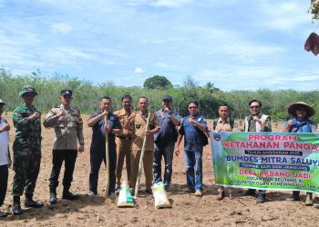 Ketahanan Pangan, Bhabinkamtibmas Polsek Belitang III Beri Pendampingan Penanaman Jagung