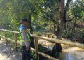 Salah Satu Langkah Antisipasi Banjir, Personel Polsek Belitang III cek Debit Air Sungai