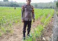 Bhabinkamtibmas Polsek Belitang III Laksanakan pengecekan Jagung 1 desa 1 hektar